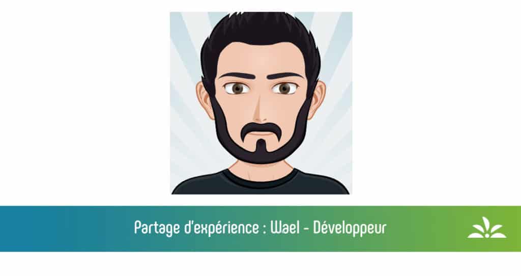 Wael développeur